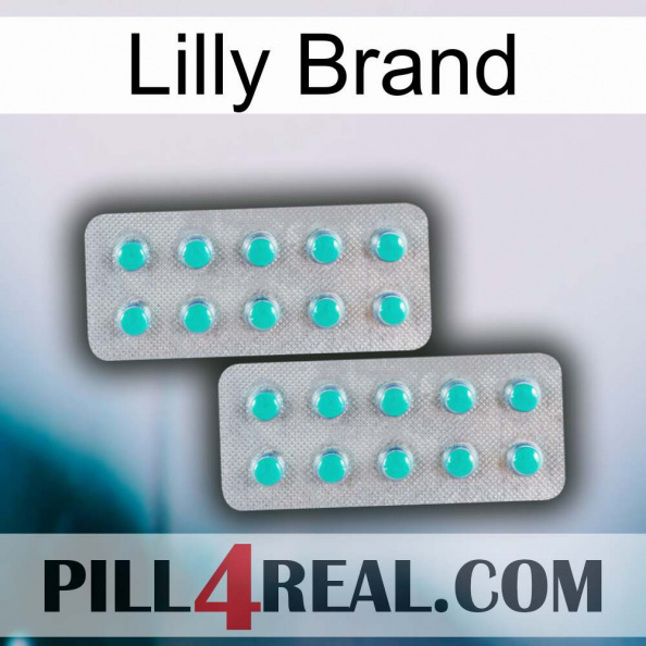 Lilly Brand 29.jpg